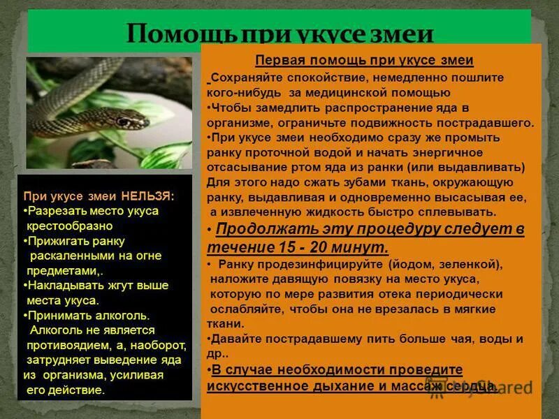 Оказание 1 помощи при укусах змей. Оказание первой помощи при укусах змей. Оказание первой помощи при укусе гадюки. Оказание первой медицинской помощи при укусе змеи. Помощь при укусах змей и ядовитых насекомых.