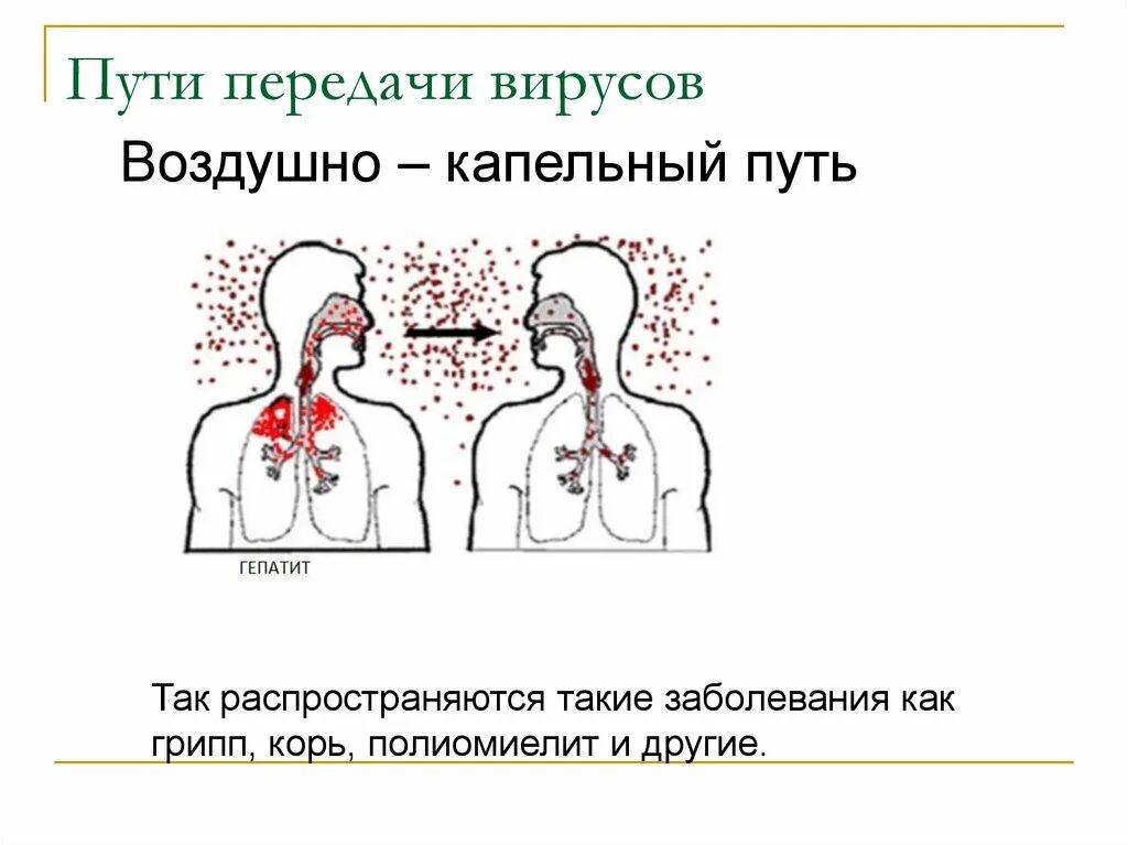 Воздушно капельный пуиь передачивируса. Воздушно капельный путь передачи вируса. Воздушно капельный путь передачи полиомиелита. Механизмы передачи воздушно капельного пути.