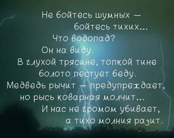 Не бойтесь шумных бойтесь тихих. Не бойся шумных бойся тихих стих. Не бойтесь шумных бойтесь тихих что водопад он на виду Автор. Цитата бойтесь тихих.