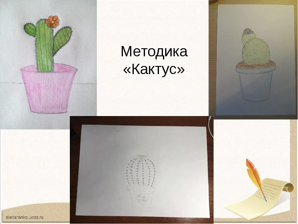 Графическая методика кактус м а. «кактус» графическая методика м.а. панфиловой.