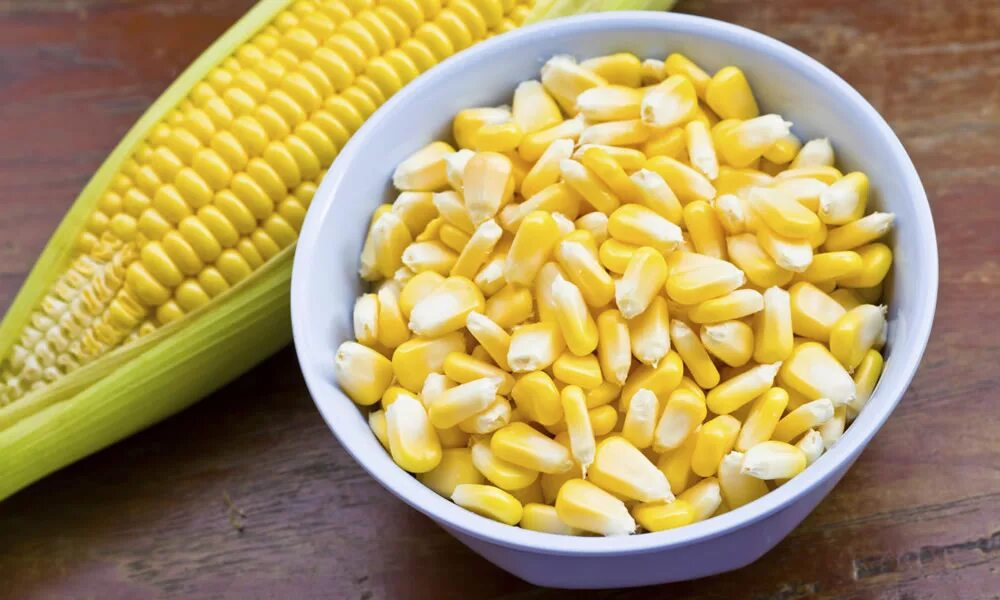 Corn на русском. Кукуруза при диабете. Кукурузу при гепатите?. Зерно кукурузы картинки. Уши кукурузы.