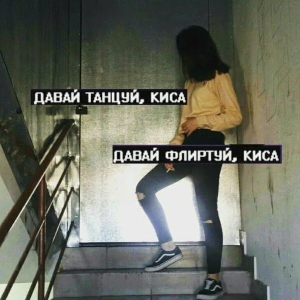 Танцы кис кис. Давай танцуй киса. Давай танцуй киса давай флиртуй киса. С*** С танцуй киса-киса.