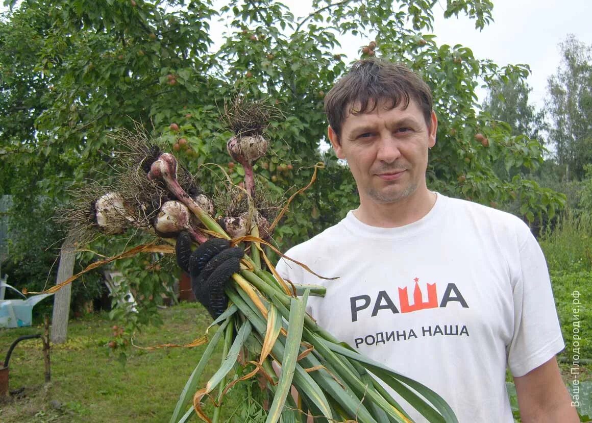 Закон о плодородии. Они съели половину нашего урожая.