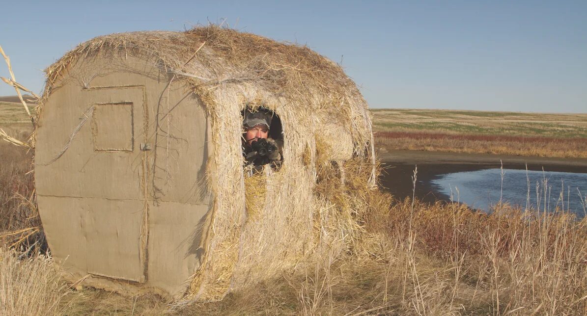 Наблюдательный пункт ротмистрова прохоровка. Ghillie suit. Съемка из укрытия. Наблюдение из укрытия. Наблюдение из укрытия.
