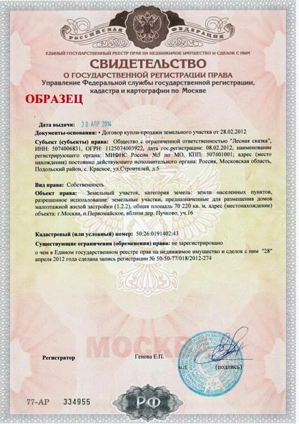 Какой документ подтверждает собственность земельного участка. Как выглядит свидетельство на земельный участок. свидетельство о праве собственности на землю. право собственности на земельный участок. документы на собственность земельного участка.