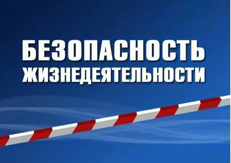 Безопасность жизнедеятельности. Дезопасность жизнилеят. Безопасность жизнедеятельност. По безопасности жизнедеятельности.