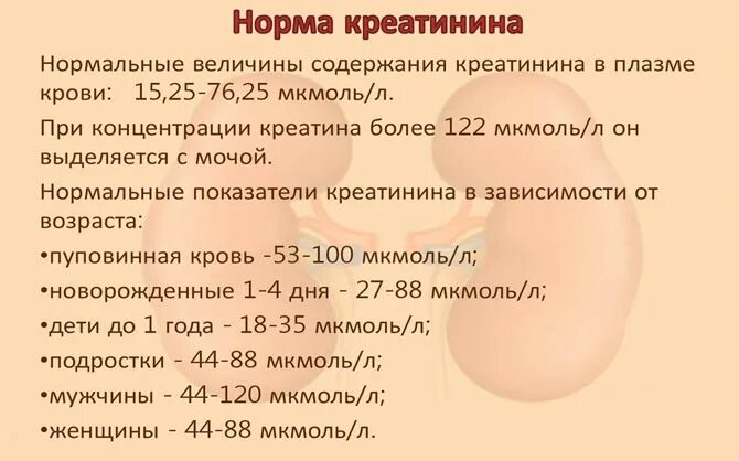 Норма креатинина в крови у женщин после 60. Повышение креатинина в крови причины. Показатели креатинина в крови у женщин норма. Креатинин в крови норма у женщин после 60 лет таблица. Креатинин что это такое в крови.