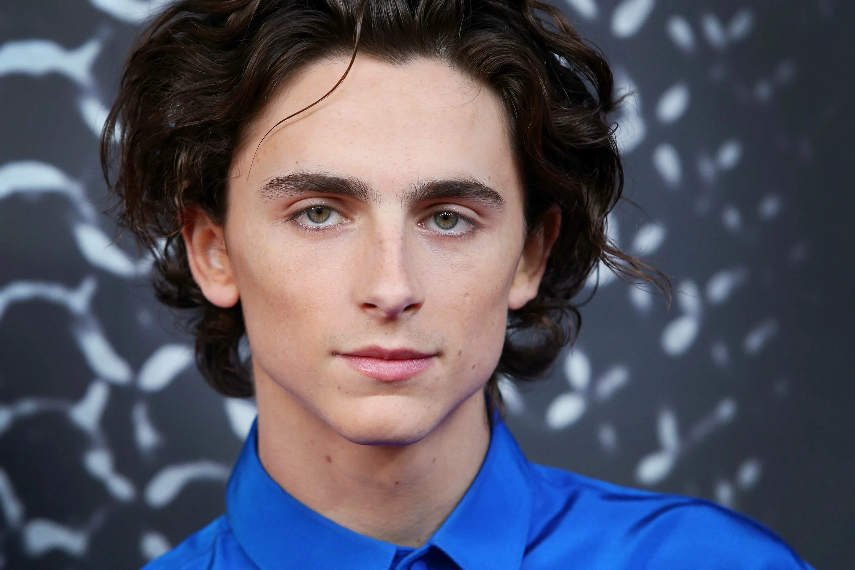 Тимоти хэл Шаламе. Тимоти Шаламе Timothee Chalamet. Тимоти Шаламе 2020. Nbvfnb itkjvt. Тимоти шаламе отношения