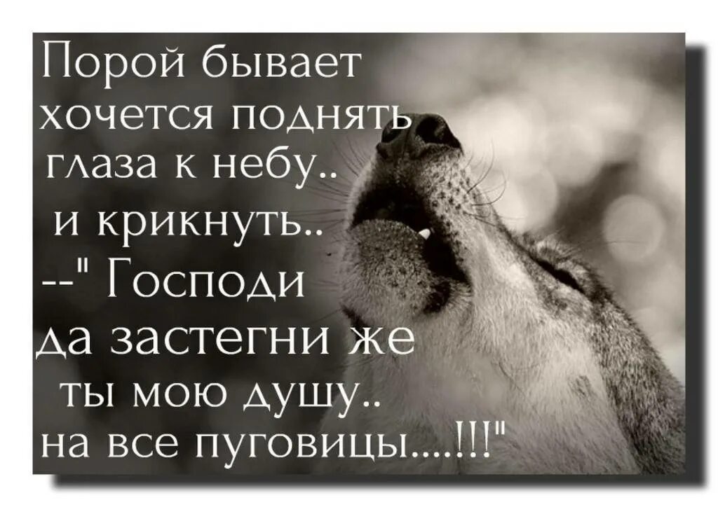 Почему плохо поднимает. Плохо на душе цитаты. цитаты когда плохо на душе. мудрые высказывания о боли. плохо цитаты.