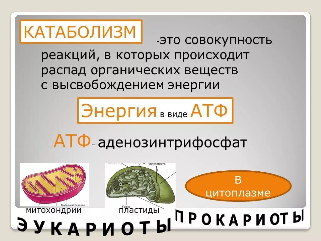 Катаболизм это совокупность реакций. Метаболизм совокупность распада органических веществ. Катаболизм это совокупность реакций органических веществ с. Распад органических веществ. Органический распад