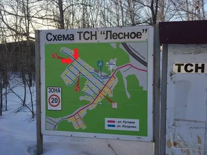 Т п лесной