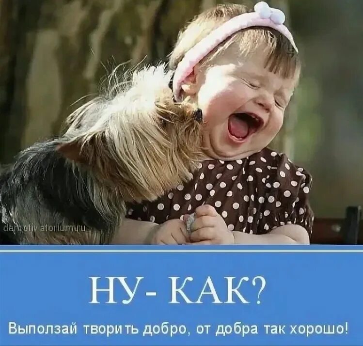 Радоваться жизни цитаты. Доброта прикол. Шутки про доброту. Радуйтесь жизни приколы