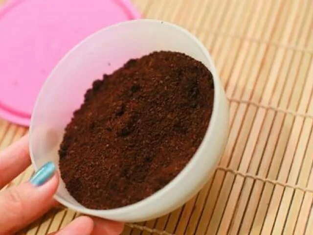 Кофейная гуща как удобрение для комнатных. Кофейный жмых для цветов. кофейный жмых для комнатных растений. кофе рассада. кофейная гуща удобрение.