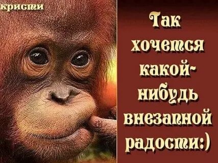 Ни на какие другие