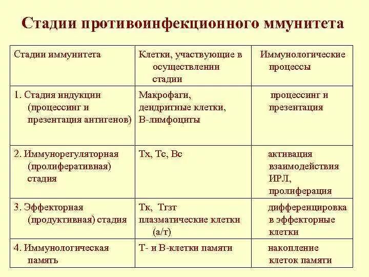 На схеме представлена реакция иммунного ответа Патогенез и патоморфология туберкулёза презентация, доклад, проект скачать