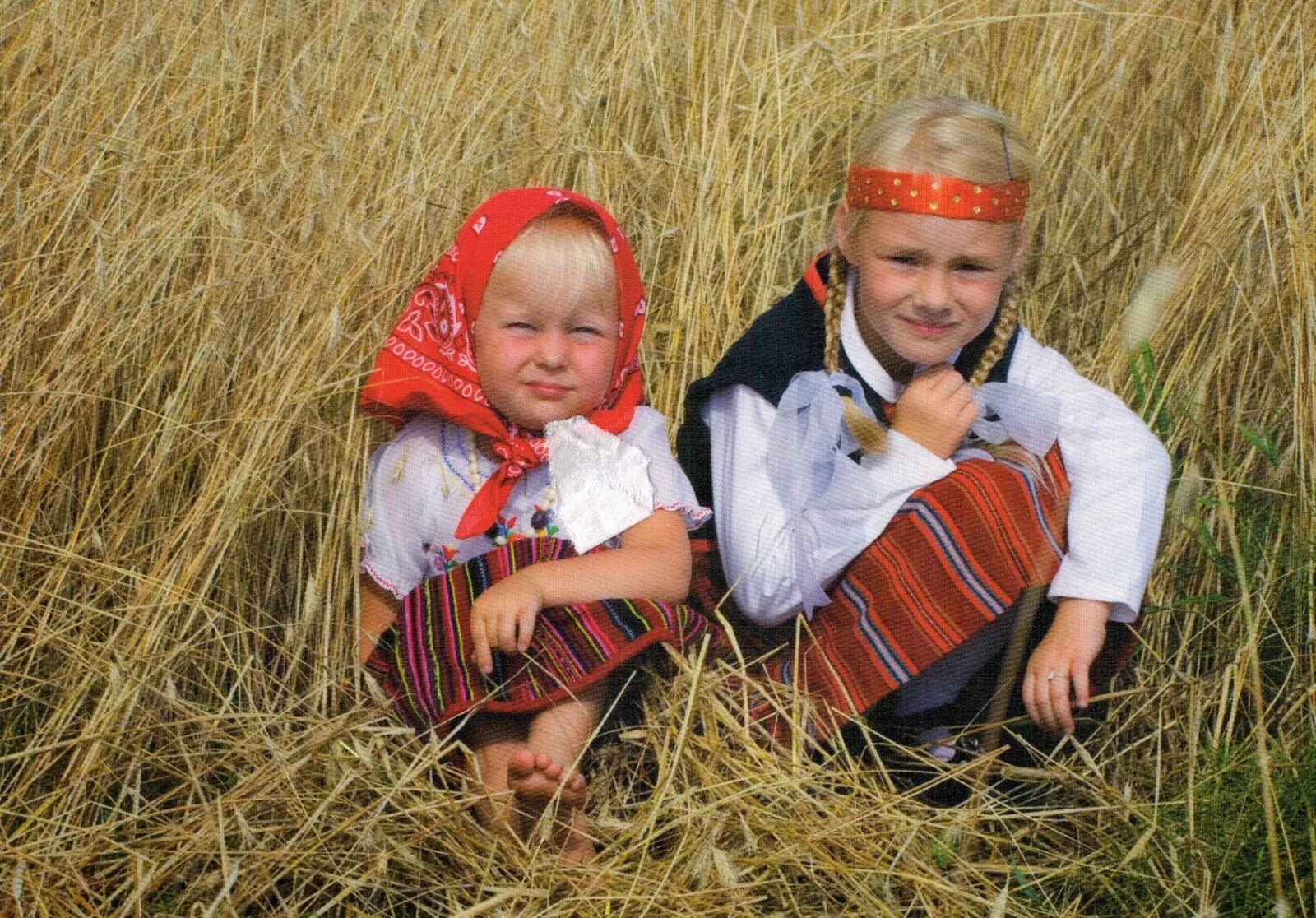 Дети в национальных костюмах. Эстонцы народ. Народы Эстонии. Эстонцы дети. Воронежцы эстонцы москвичи петербуржцы этнический территориальный