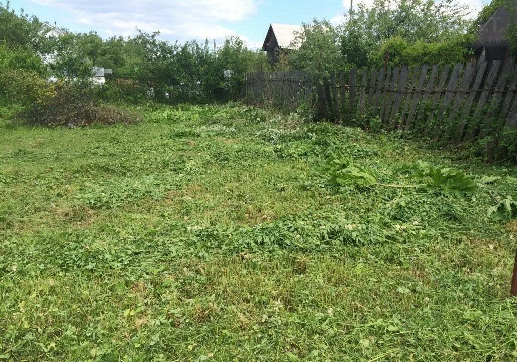 Купил заросший участок. Заросший дачный участок. заросший участок земли. необработанный земельный участок. заброшенный участок.