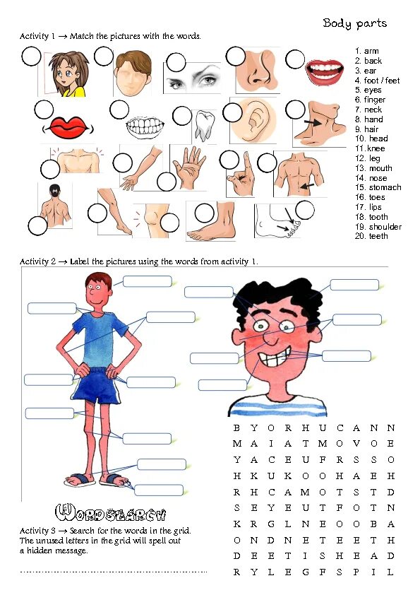 Human matching. Упражнения по английскому части тела. Задания по английскому части тела. Parts of the body упражнения. Тема body Parts Worksheet.