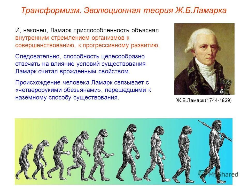 Способность организмов целесообразно реагировать на изменение условий. Трансформизм теория эволюции. Теория Ламарка об эволюции человек. Происхождение человека по Ламарку.