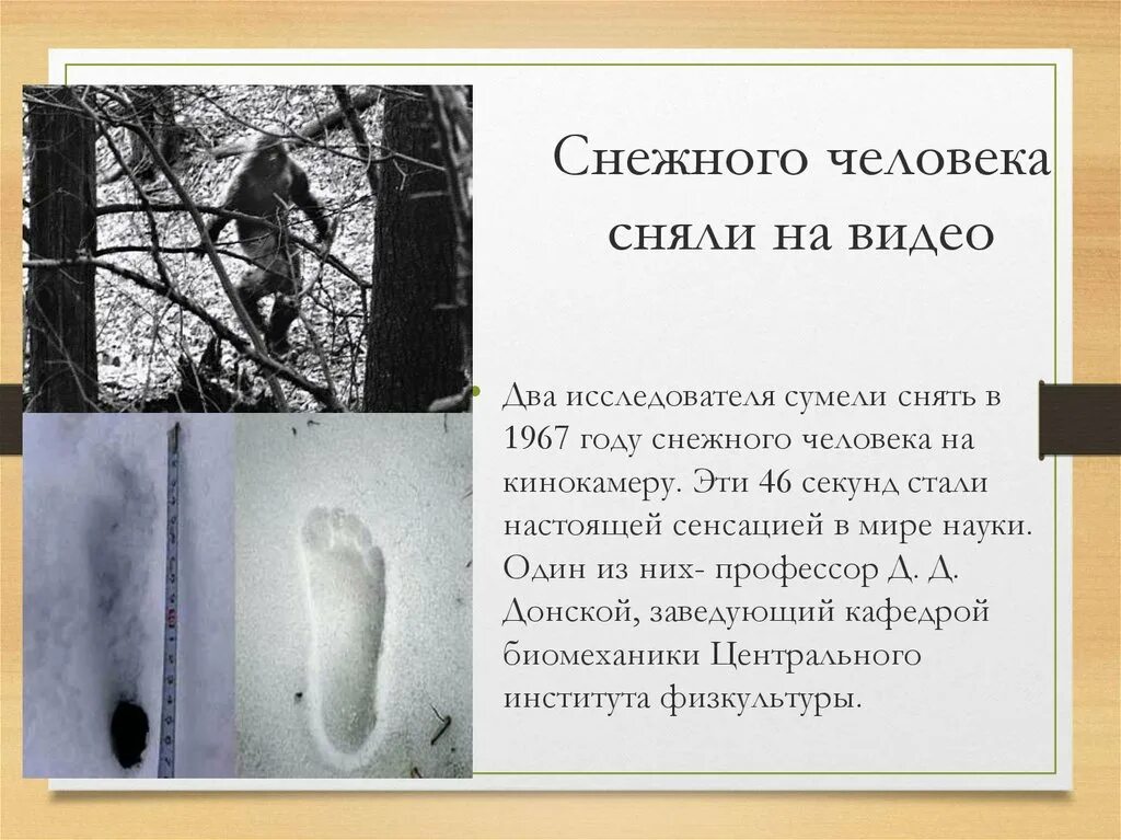 В городе снежном текст. Откуда появился снежный человек. Описание снежного человека.