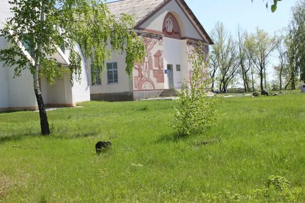 Село большой карай Романовского района Саратовской области. Село большой карай. Храм с малый карай Романовского. Ракитин большой карай.