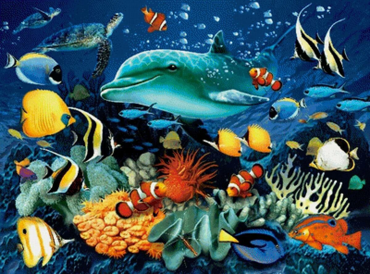 Морские жители. Подводный мир. Обитатели морского дна. Морские обитатели для детей.