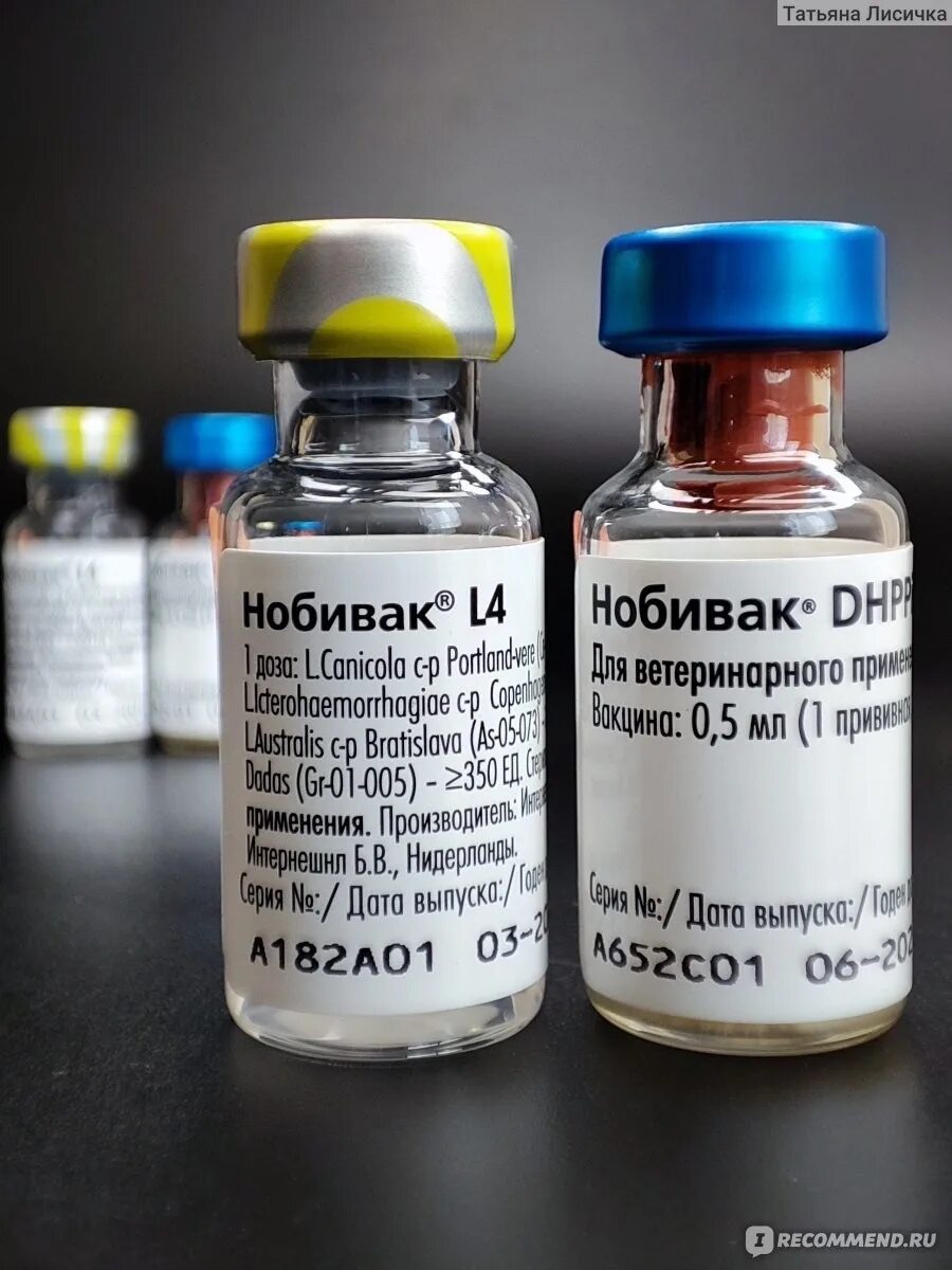 Импортные вакцины для собак. Нобивак DHPPI Nobivac DHPPI. Вакцина Нобивак для собак. Нобивак DHPPI + L для щенков. Прививка для собак Нобивак.