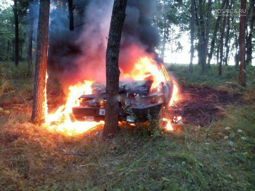 Идет медведь видит машина горит. Сгоревшая машина в лесу. Пожарная машина в лесу. Горящий лес пожарная машина. Машина Лесной пожар.