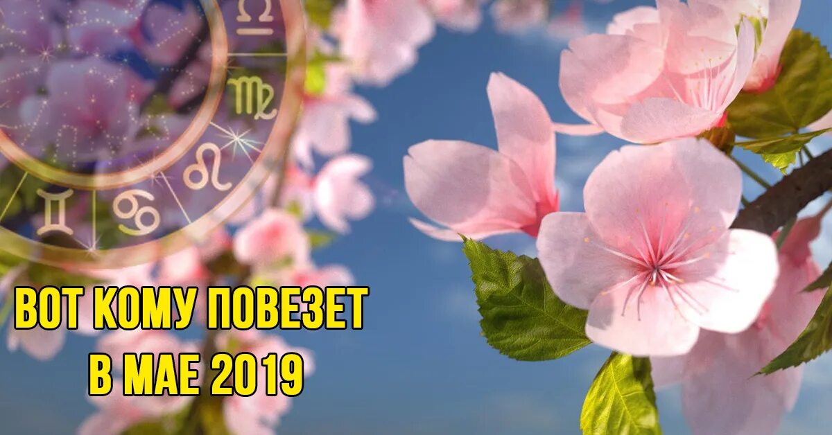 Лучшие этого месяца