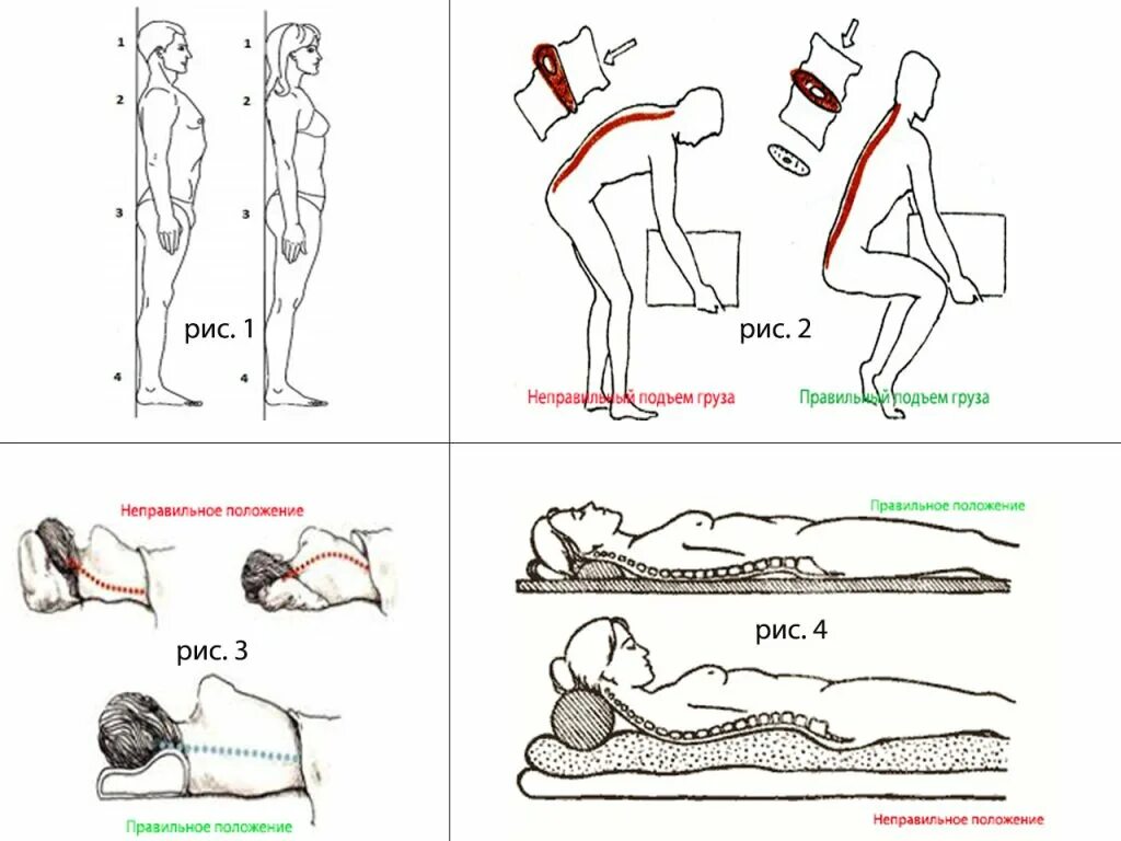 Нагрузка на поясницу. Правильное положение позвоночника. Правильное расположение позвоночника. Правильное положение спины. Правильное положение поясницы.