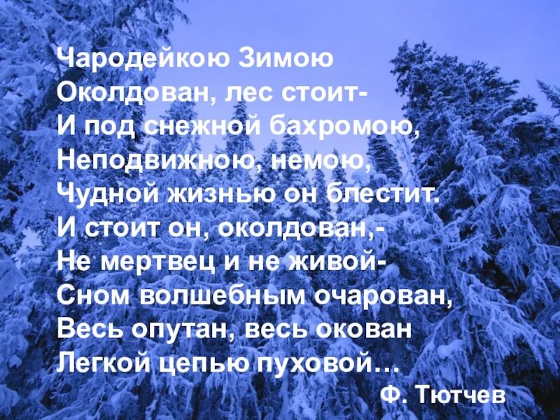 Тютчев лес. Стих Тютчева Чародейкою зимою. Чародейкою зимою околдован лес стоит. Стихотворение Чародейкою зимой. Чародейкою зимой стихотворение Тютчева.