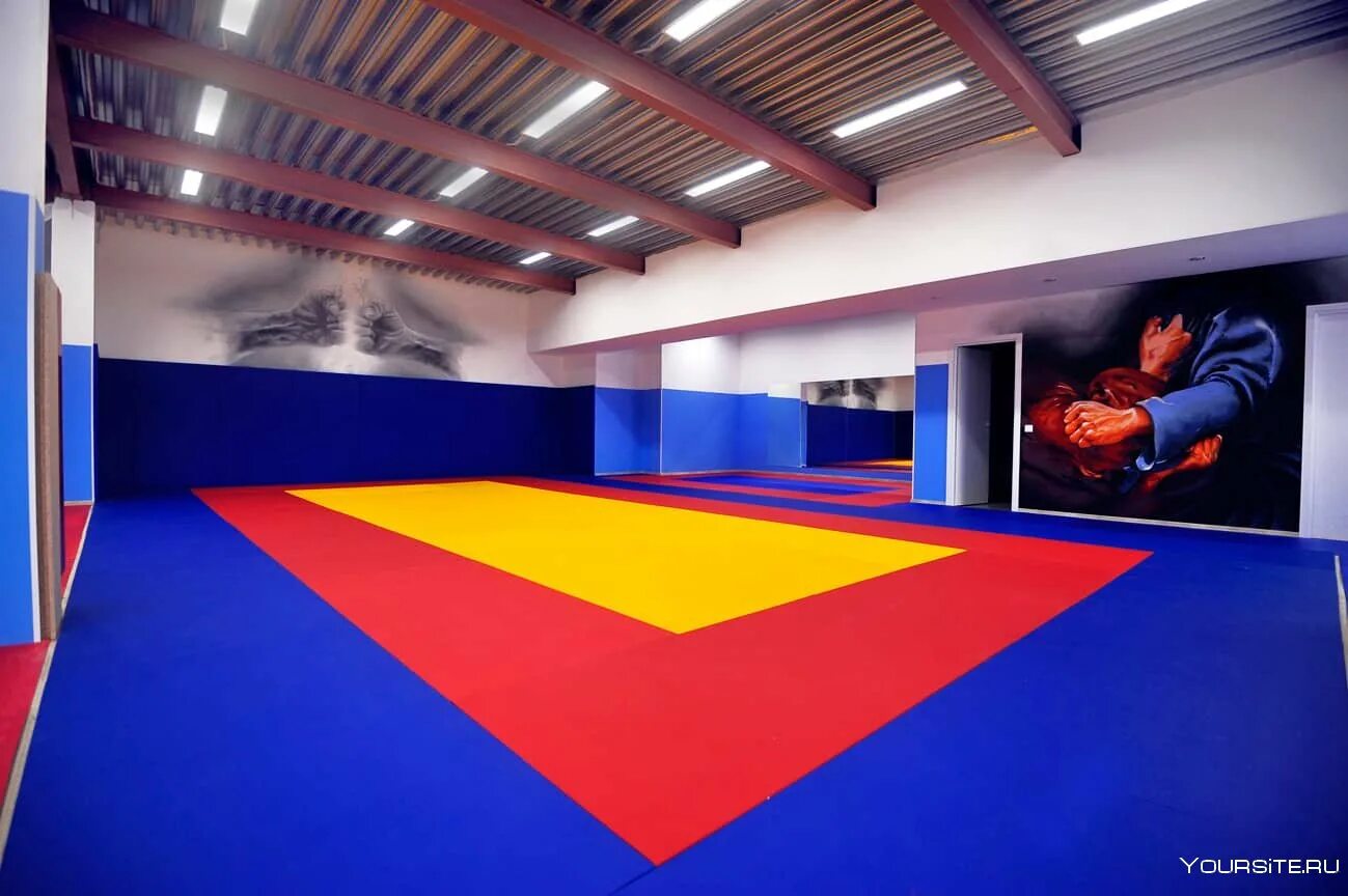 Татами фото. Татами для единоборств ПВХ+ПВВ. Татами для единоборств Judo+ПВВ. Татами (маты для дзюдо). Татами для дзюдо Арена.