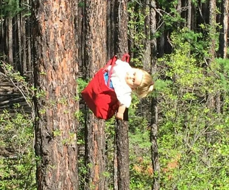 Девушка вешается на дереве -Ponch. Повешенный человек в лесу.