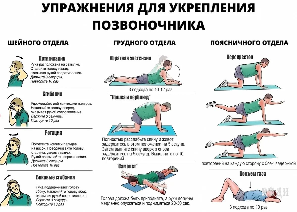 Упражнения для укрепления поясницы. Гимнастика для укрепления спины. Упражнения для укрепления мышц позвоночника. Занятия для спины для укрепления спины.