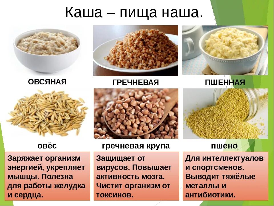 Какого года каша. Крупы для здорового питания. Каша пища наша. Крупы для каш для детей. Презентация каша пища наша.