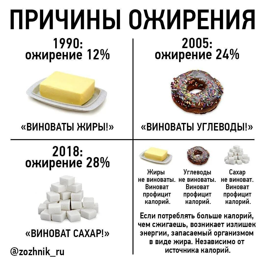 Сколько можно есть сколько нужно. Дефицит калорий. Дефицит калорий для похудения. Дефицит и профицит калорий. Причины лишнего веса.