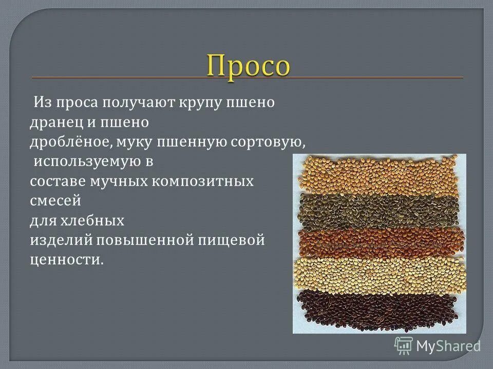 Содержание проса. Пшено дранец. крупы из проса. из чего состоит пшено. просо мука.