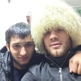 Мевлюд в турции что это