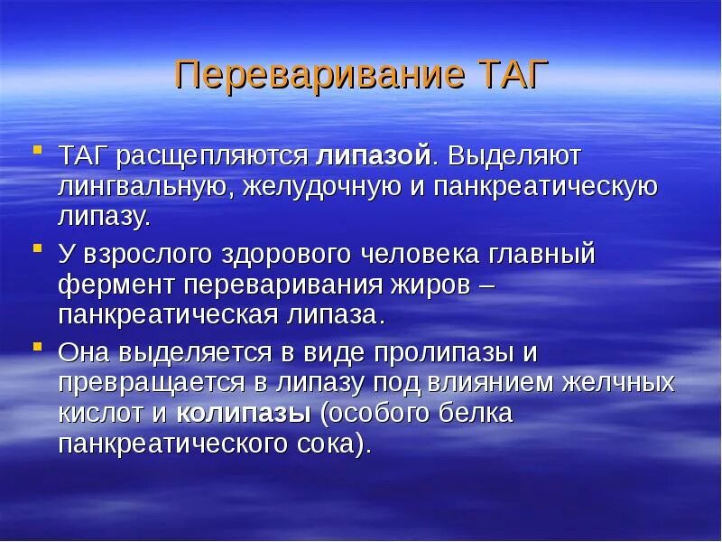 Что расщепляет липаза. Переваривание жиров липаза. Панкреатическая липаза на таг. Переваривание жиров таг. Главный фермент переваривающий жиры.