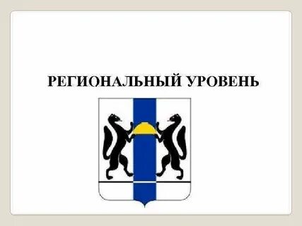 Новосибирская область молодежная