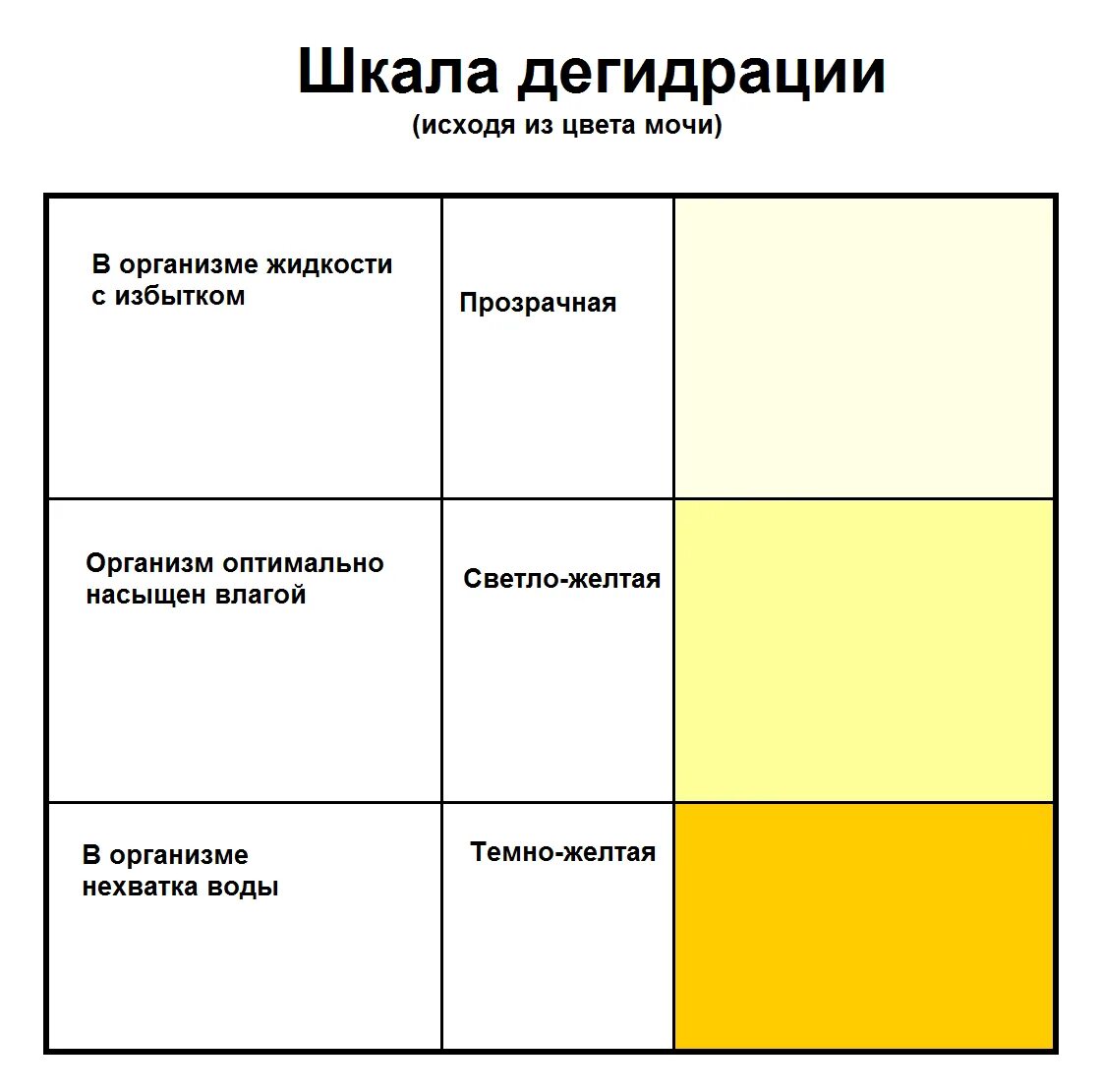 Нормальный цвет мочи при беременности в 3 триместре. Моча аномального цвета. Нормальный цвет мочи. Моча светло желтого цвета.