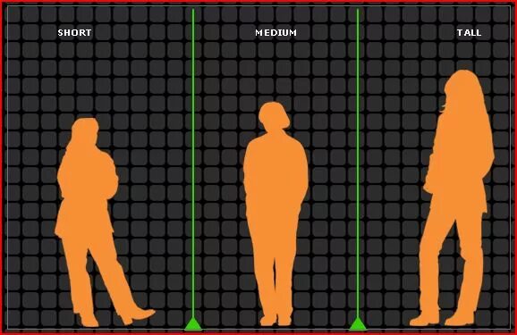 Medium height. Tall short Medium height. Tall перевод. Medium height и другие росты.. Short height