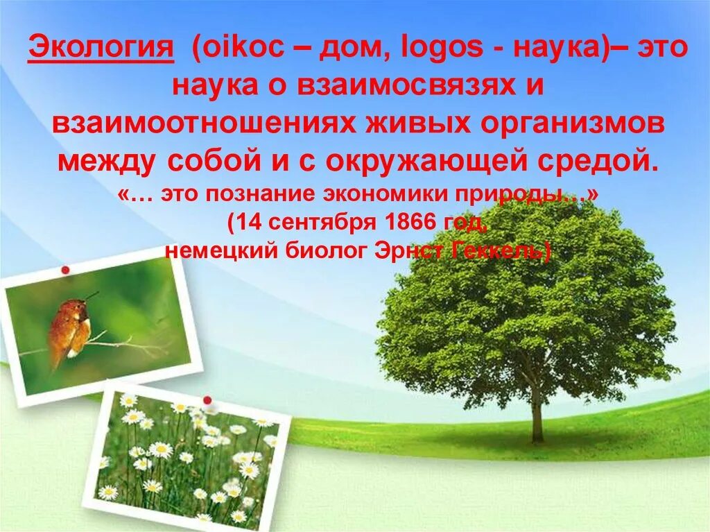 Дом это живой организм