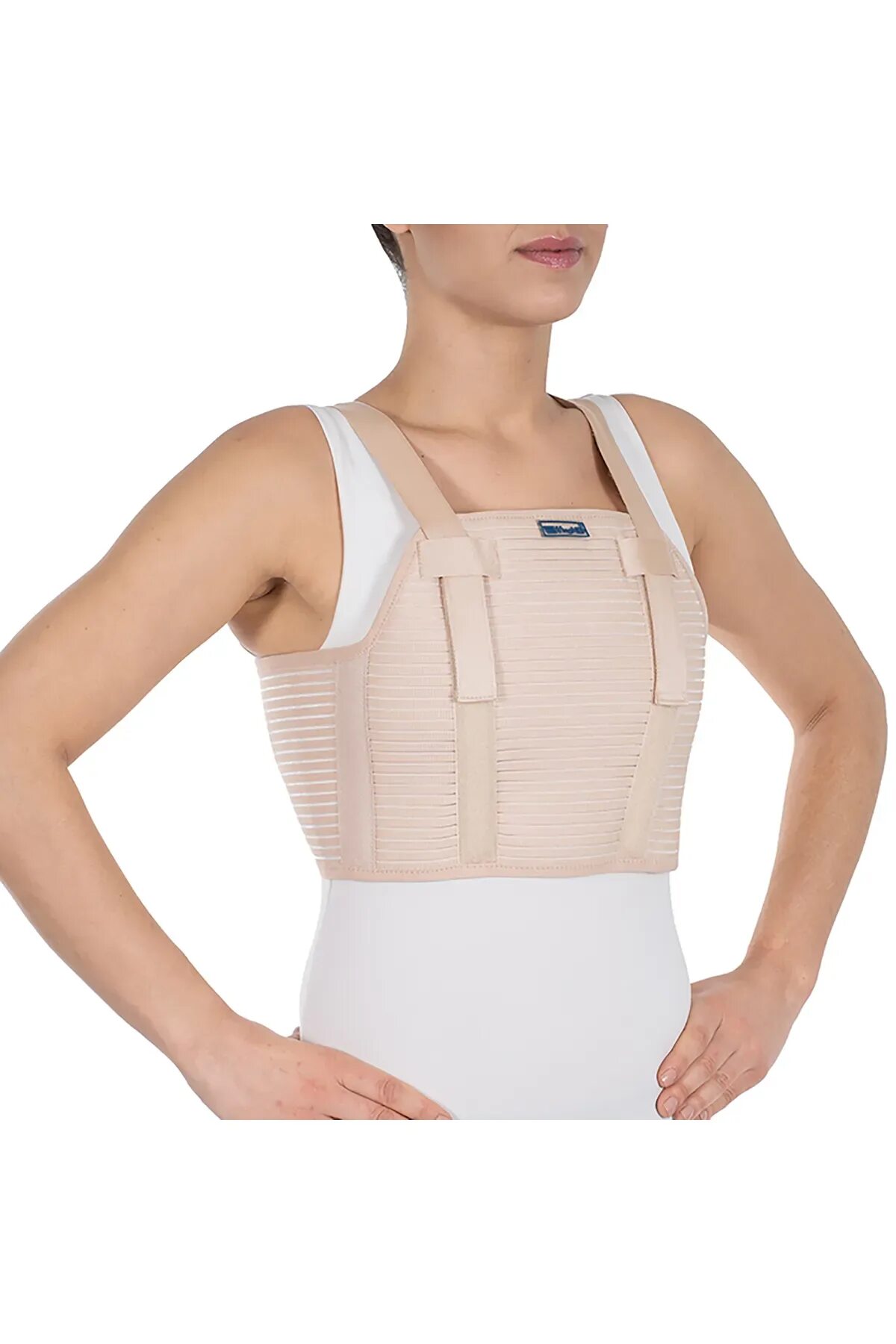 Лонг с грудным поясом. Ремень хищник. Dayco 6pk1300. Защита грудной клетки. Chest brace.