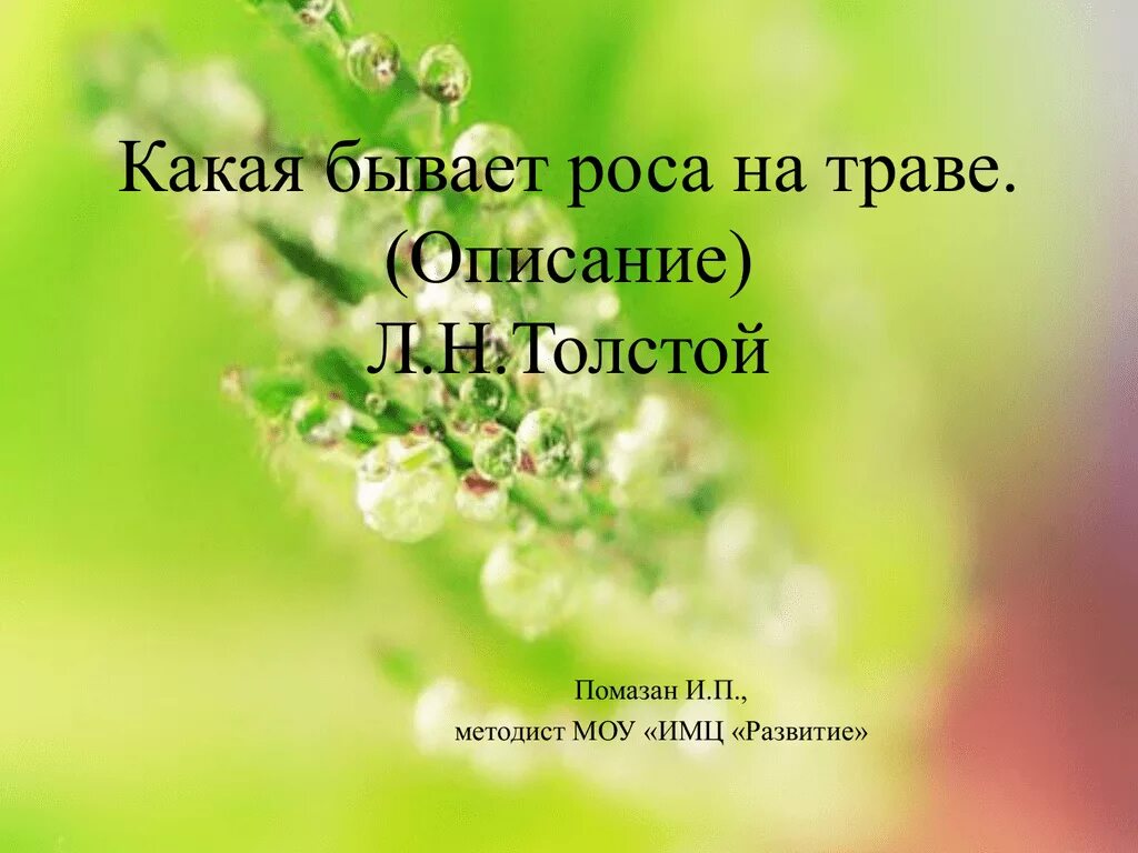 Какая бывает роса. Какая бывает роса на траве. Какая бывает роса на траве описание. Какая бывает роса на траве толстой.