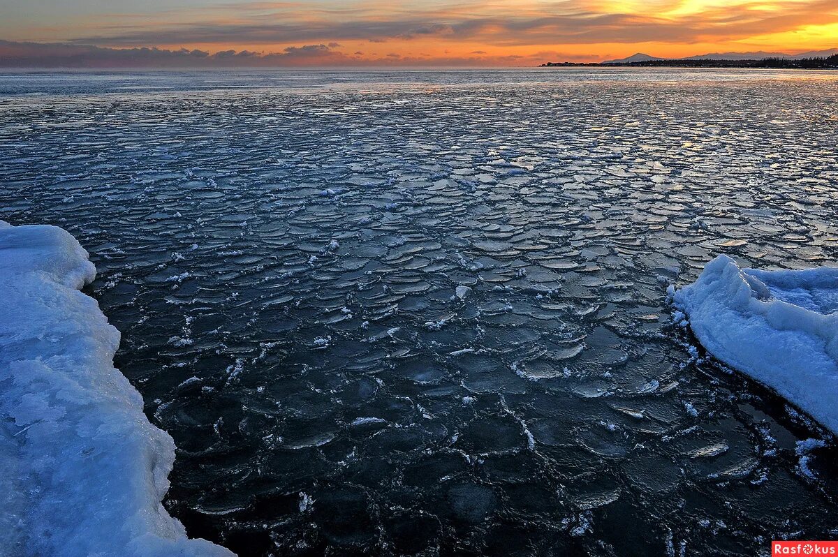 Вода покрыта льдом. Вода со льдом. Байкальский лед. Становление льда на Байкале. Замерзший океан.