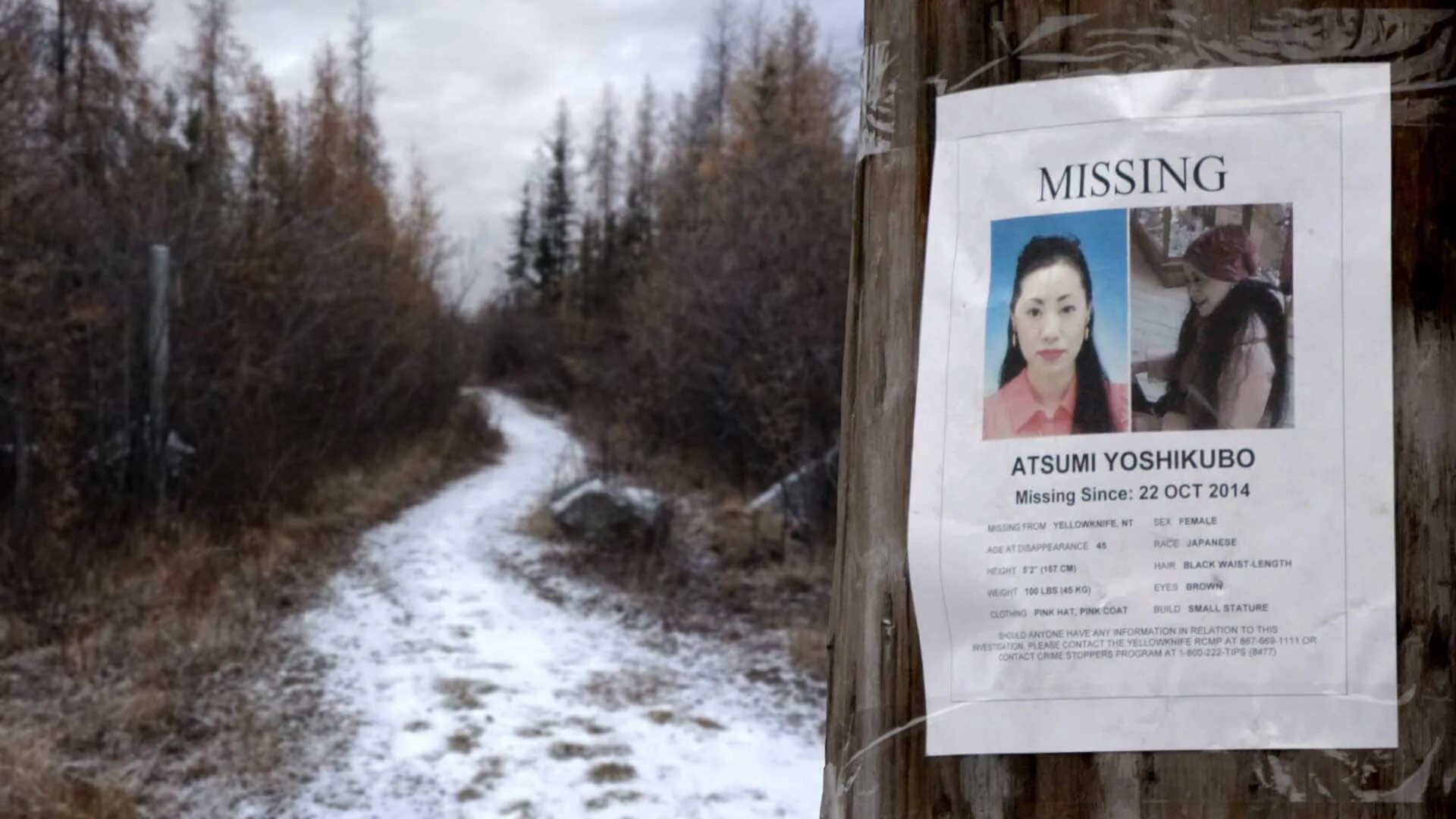 Without missing. Missing persons. backrooms missing persons. missing persons band. missing картинки.