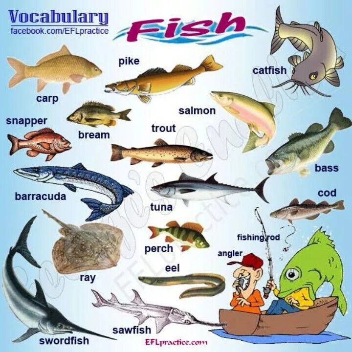 Английские слова рыба. Рыба по английскому языку. Названия рыб на английском. Рыба в Англии. Рыбы животные на англ.