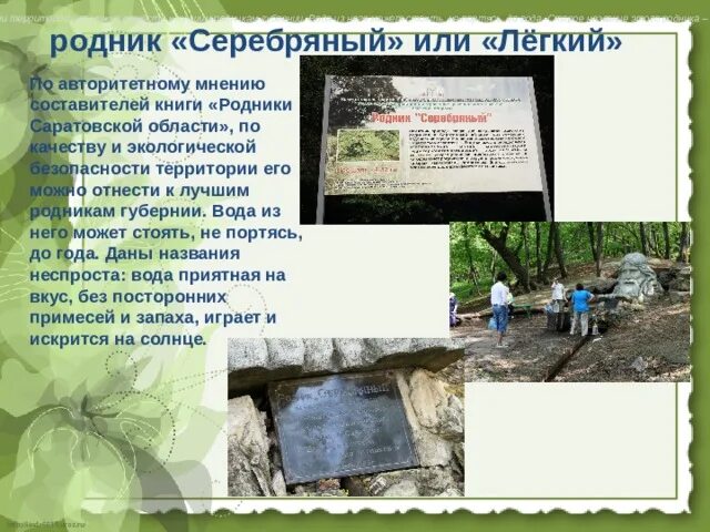 Родник 4 класс. Родник Саратовской области. Родники Саратовской области доклад. Родник презентация. Сообщение о роднике.