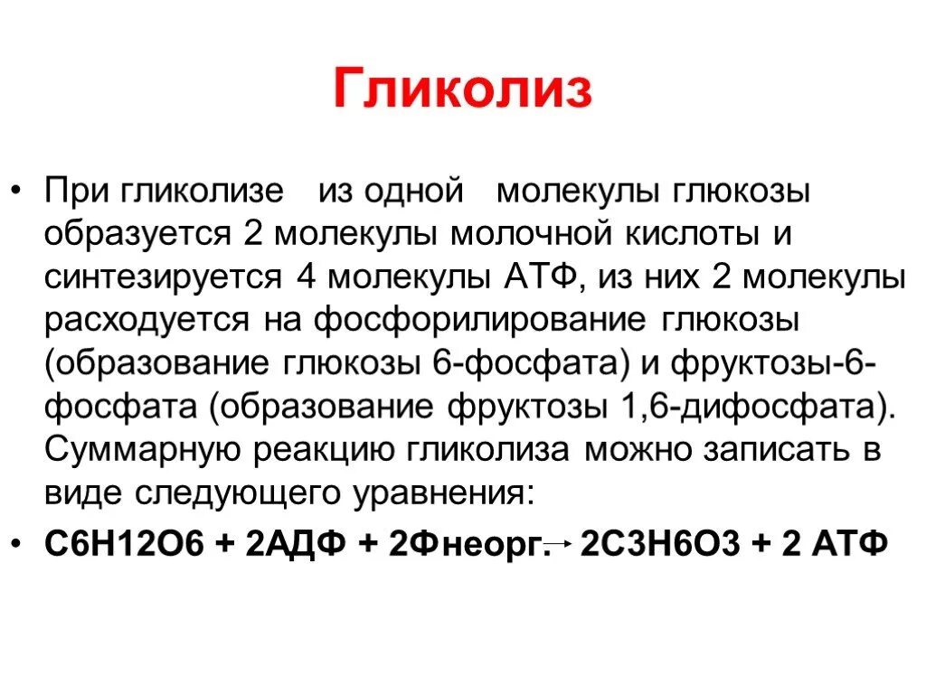 Сколько молекул атф образуется в кислородном этапе. Гликолиз одной молекулы Глюкозы. Молочная кислота образуется в процессе гликолиза. Гликолиз 1 молекулы Глюкозы. При гликолизе 1 молекулы Глюкозы.